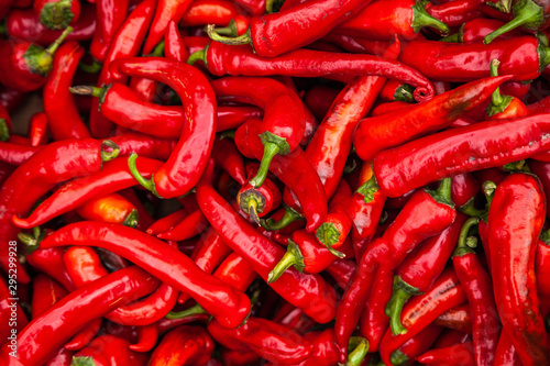 Wallpaper Mural Red pepper. Bunch of ripe big red peppers at a street market. Background texture of red hot chili peppers seasoning a fiery dish for sale Torontodigital.ca