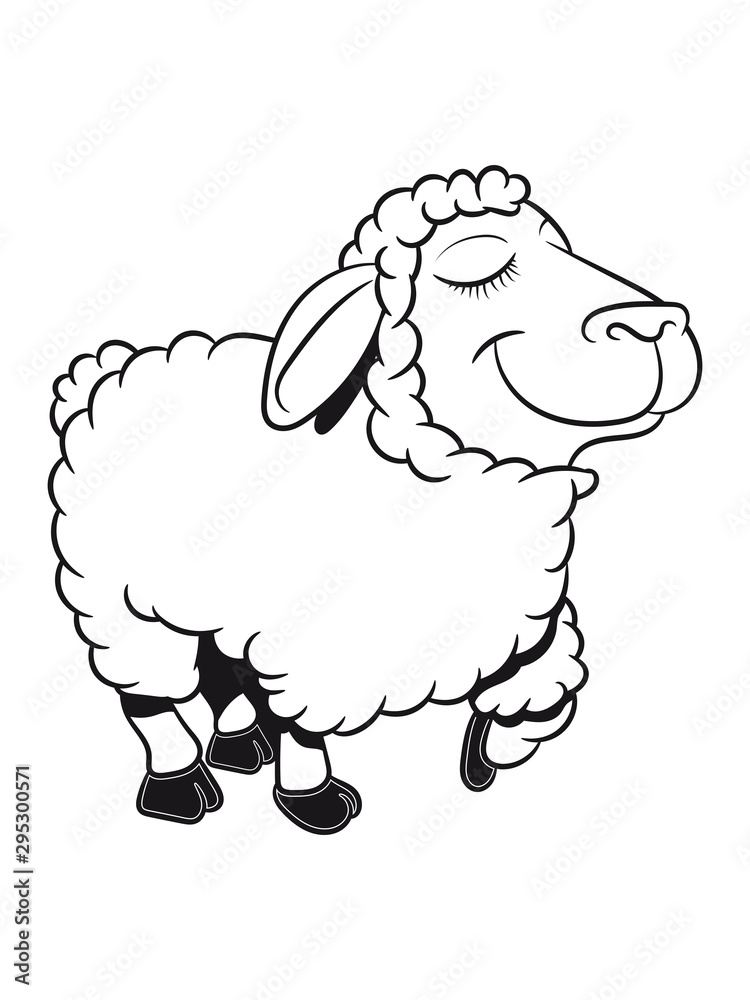Schaf Weide fressen schnuppern zufrieden Herde Wolle Nutztier grasen süß lustig witzig 1c Schaf Weide fressen schnuppern zufrieden Herde Wolle Nutztier grasen süß lustig witzig 1c