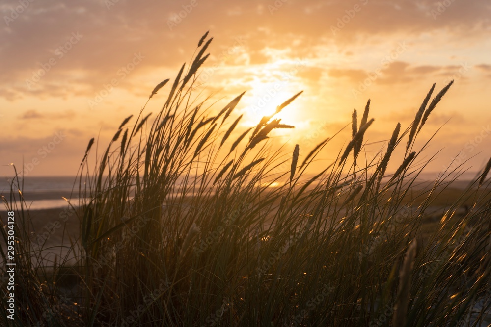 Sommer Sonnenuntergang auf der Düne.