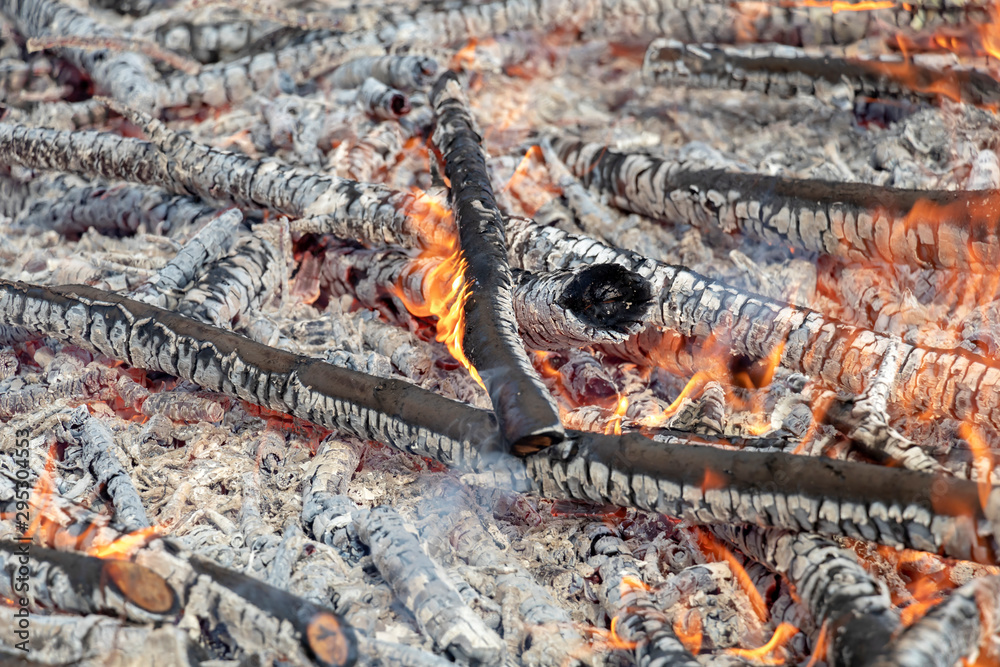 Burning wood in huge bonfire. Natural background of fire and ashes with copy space Burning wood in huge bonfire. Natural background of fire and ashes with copy space