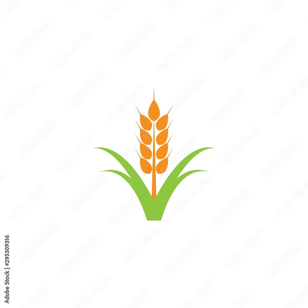 Wheat logo template vector icon illustration