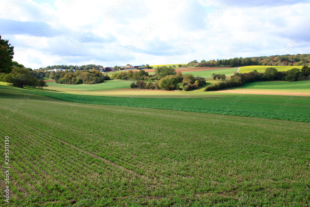 Fototapeta premium Blick über das Heckengäu bei Weissach mit seinen Felder, Wiesen und Streuobstwiesen 