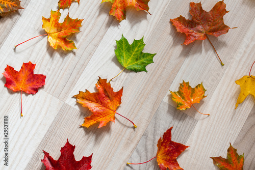 beautiful autumn background colorful maple leaves on wooden surface