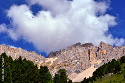 jumps towards the refuge path tower of Pisa latemar (predazzo pampeago) dolomites alto adige Italy photo