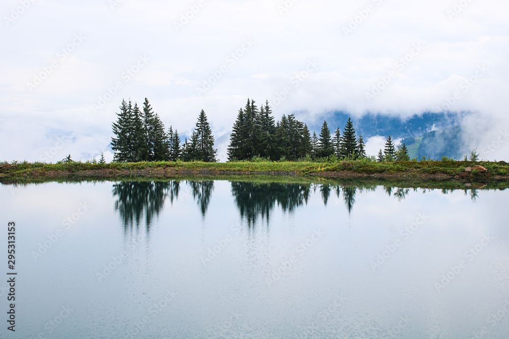 Green fir trees reflected in a lake on a gloomy day in the mountains