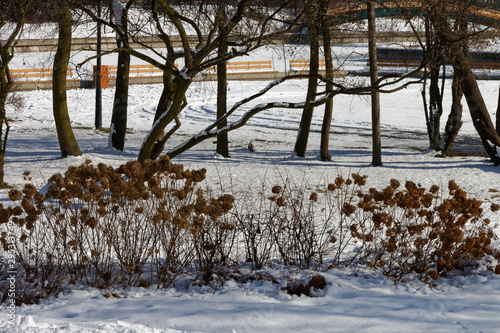 Fototapeta Naklejka Na Ścianę i Meble -  Park miejski