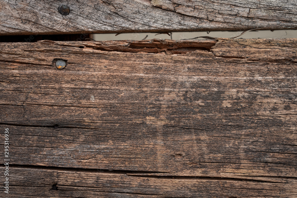 Naklejka premium Weathered wood with rusty nails