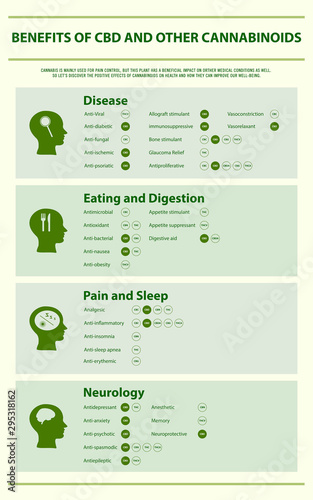 Benefits of CBD and Other Cannabinoids vertical infographic illustration about cannabis as herbal alternative medicine and chemical therapy, healthcare and medical science vector.
