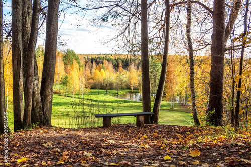  Empty wooden bench overlooking green glade, river and autumn colorful forest. Beautiful landscape. 