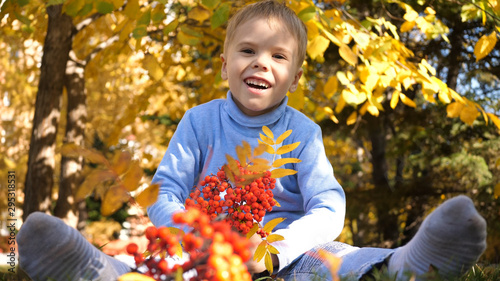 A child in the autumn Park plays and laughs merrily, he plays with yellow leaves and Rowan berries. Sunny autumn day in the Park. Outdoor entertainment