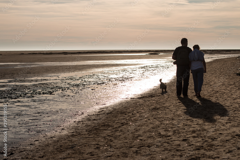 couple and dog walking on the beach at sunset