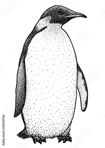 Emperor penguin illustration, drawing, engraving, ink, line art, vector