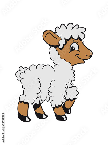 Schaf Weide fressen kind baby freundlich Herde süß lieb Wolle pulli Nutztier grasen lamm 3c