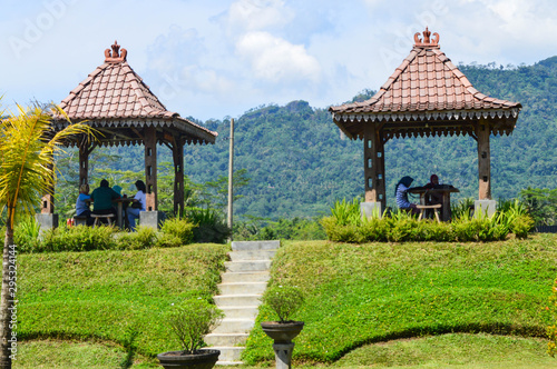 houses in park