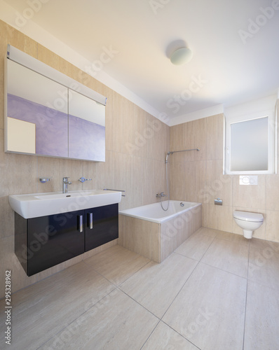 Bathroom with toilet  cabinet with sink and mirror and tube