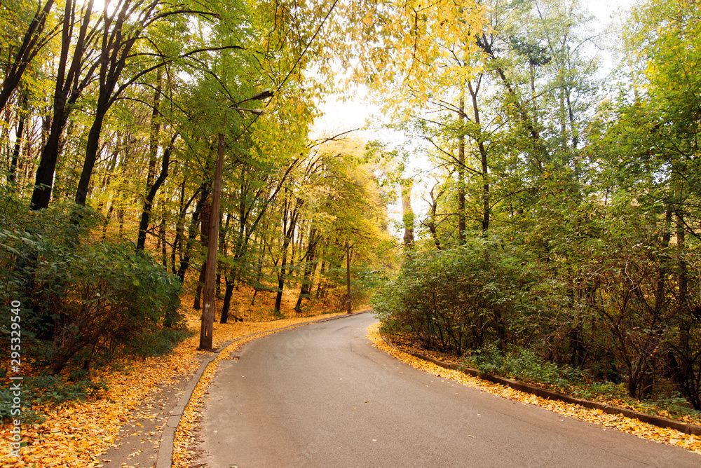 Obraz premium beautiful autumn forest. Beautiful landscape with road, trees with red and orange leaves. Highway through the park. Nature background.