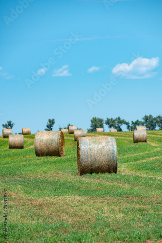hay bale field in rural area