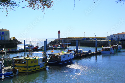 Port de la Cotiniere Ile d'Oleron photo