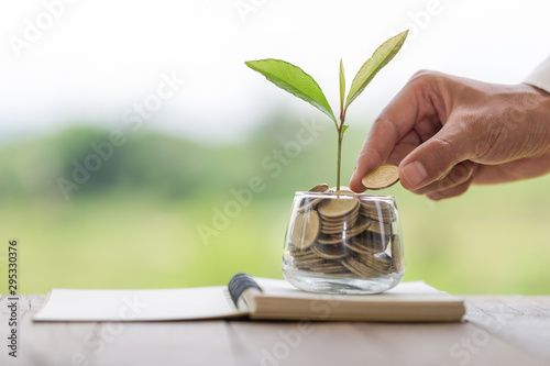 Coins and seedlings in a glass jar placed on a notebook The hands of investors will drop coins into glass bottles. The concept of hedging, real estate investment, business growth Invest for profit.