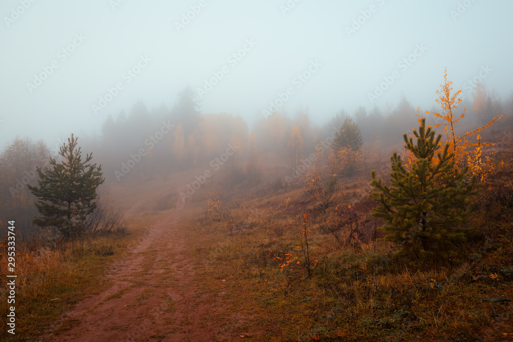 Fototapeta premium beautiful autumn morning with heavy fog