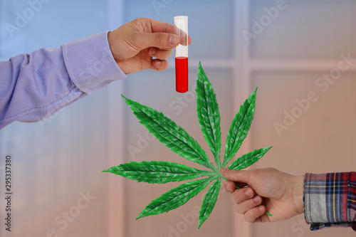 Billede på lærred male hand with a green leaf of cannabis and a hand of blood in a test tube, medi