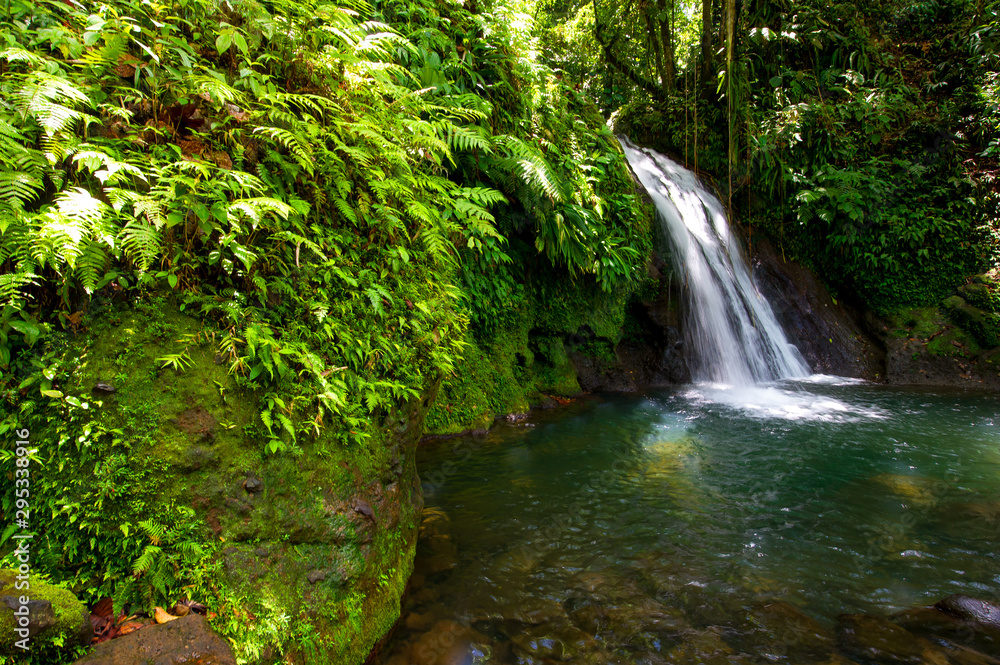 Aprende a pronunciarPetit Borg, Basse Terre / Guadeloupe. 04.09.2014.Cascade Aux. Ecrevisses in Guadalupe Aprende a pronunciarPetit Borg, Basse Terre / Guadeloupe. 04.09.2014.Cascade Aux. Ecrevisses in Guadalupe