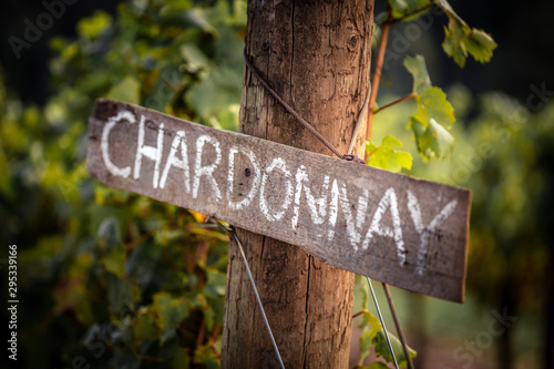 Chardonnay wooden sign photo
