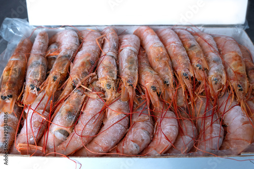 Large frozen langoustines in a package. Seafood. photo