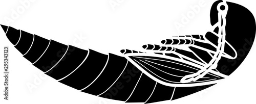 Black silhouette of pupa of Click beetle isolated on white background