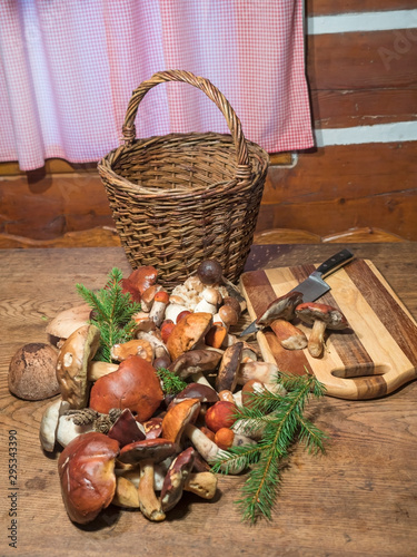 Assorted edible mushroom Boletus close up on wooden rustic table with wicker basket  cutting board  knife and green spruce tree twig. Cooking and preparing delicious organic mushroom food. Autumn Cep