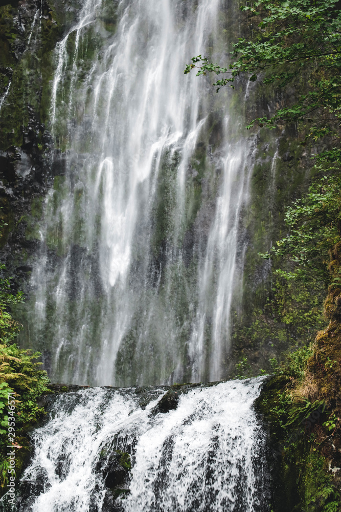 Obraz premium Nature in the US