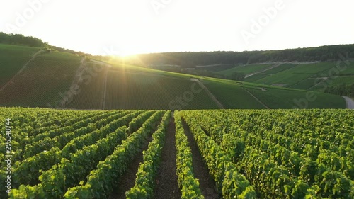 Aerial view of Champagne vineyards to Les Riceys,  the Cote des Bar area in the Aube department, France