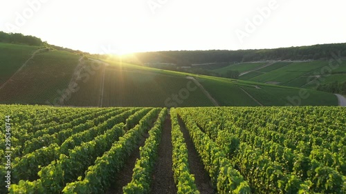 Aerial view of Champagne vineyards to Les Riceys,  the Cote des Bar area in the Aube department, France photo