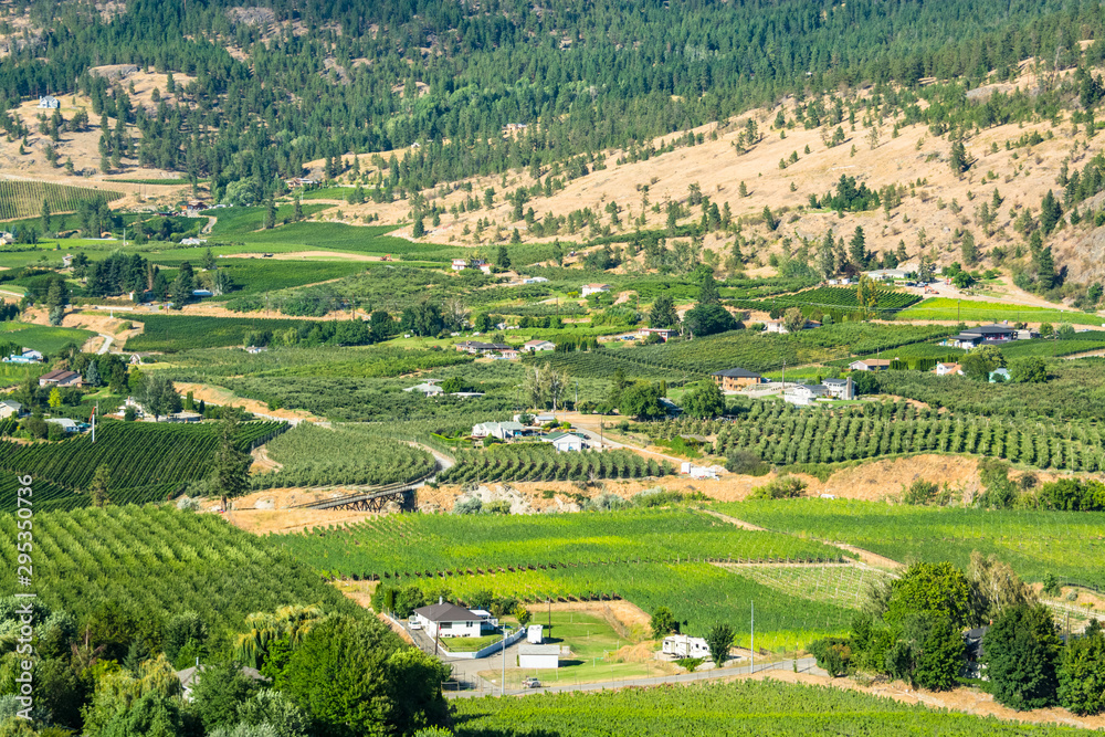 Farms land landscape on summer day in Okanagan valley
