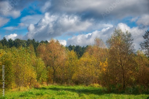 Dramatic view of colored trees and cloudy sky in autumn. Leaves fall season. Minsk, Belarus 