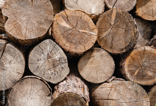 Stack of log or timber at cross cutting as a wall in countryside.