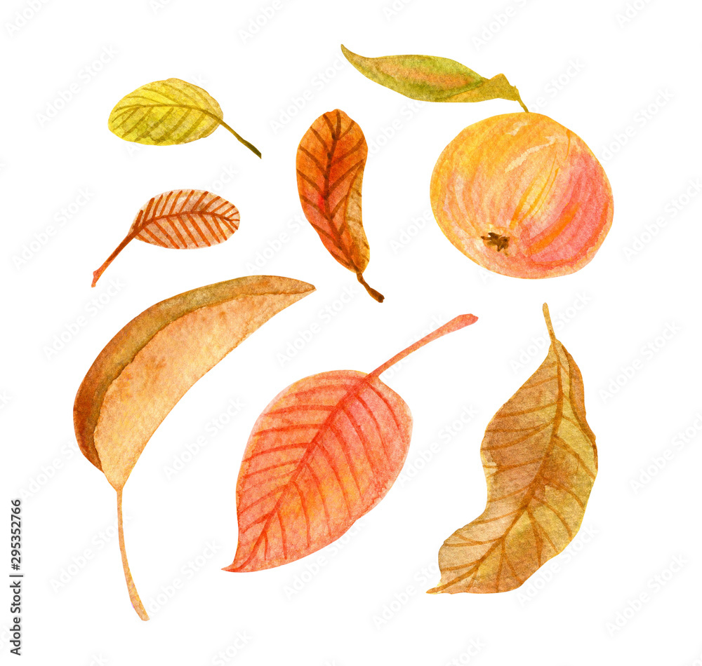 Watercolor fall floral collection. Set includes hand drawn autumn brown, red and green leaves and an ripe juicy apple isolated on white background