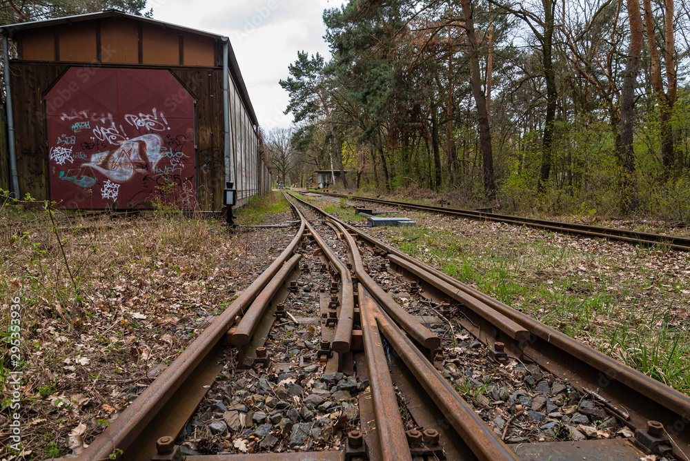 Obraz premium railway switch in forest, railroad switch