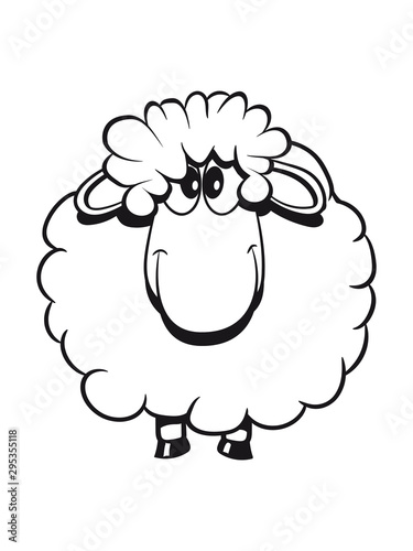 Schaf Weide fressen doof Herde süß lieb Wolle Nutztier grasen witzig 1c