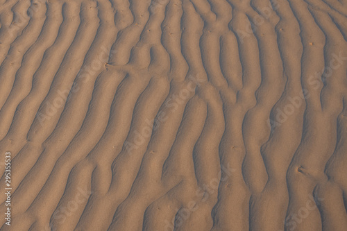 Ripples in the sand dunes of Magdalena Island, Baja California Sur, Mexico.