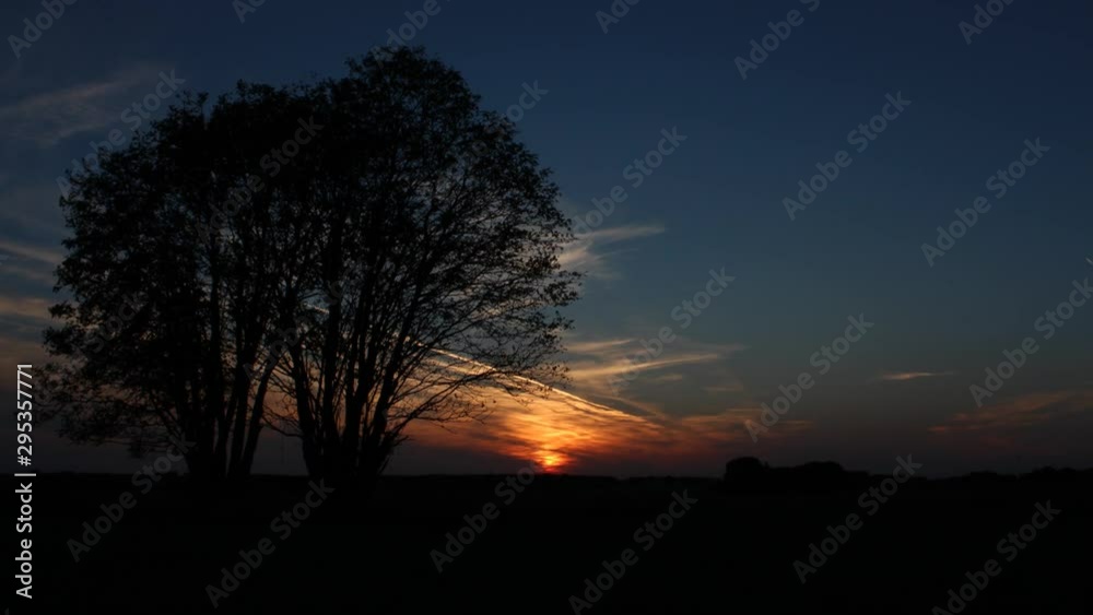 4K timelaps of a sunset with tree 4K timelaps of a sunset with tree