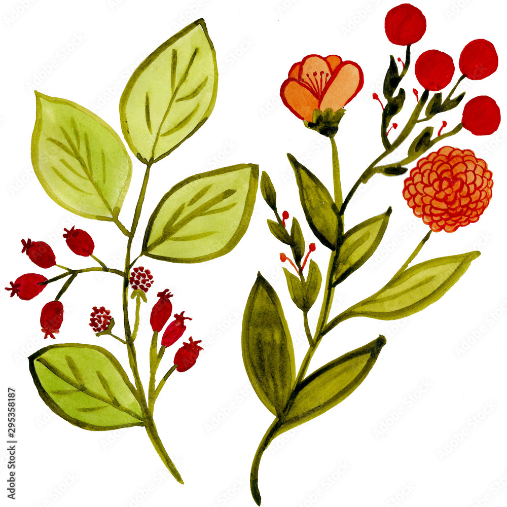 Illustration of a plant with flowers and fruits and berries. The figure in orange and green tone