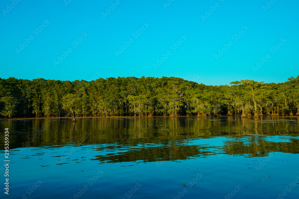 Colorful reflection of trees at Caddo Lake near Uncertain, Texas