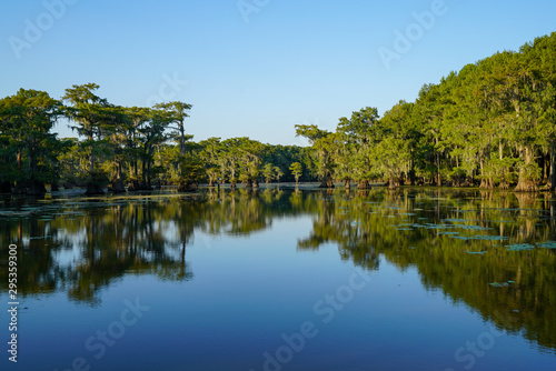 View at Caddo Lake near Uncertain, Texas