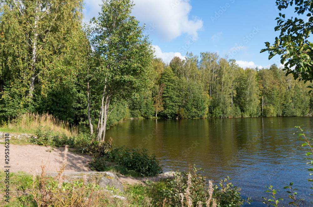 lake in the forest lake in the forest