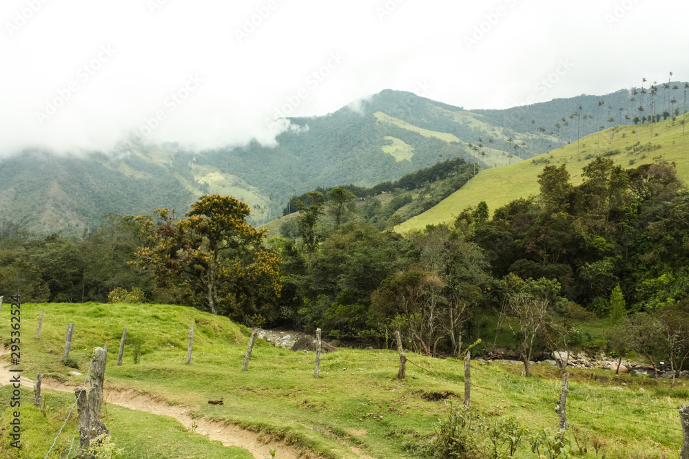 Cocora Valley, which is nestled between the mountains of the Cordillera Central in Colombia.