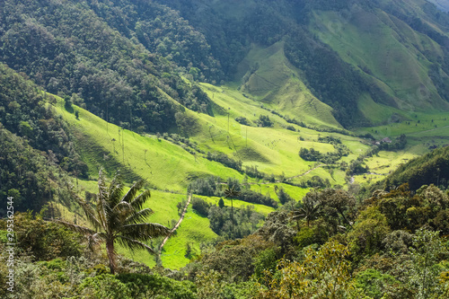 Cocora Valley, which is nestled between the mountains of the Cordillera Central in Colombia. photo