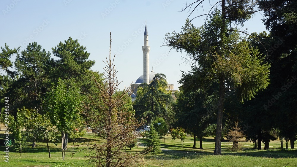 Obraz premium mosque in a park in skopje