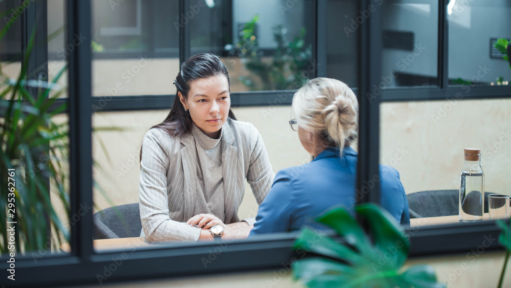 young HR woman interviews a candidate for a job. young HR woman interviews a candidate for a job.