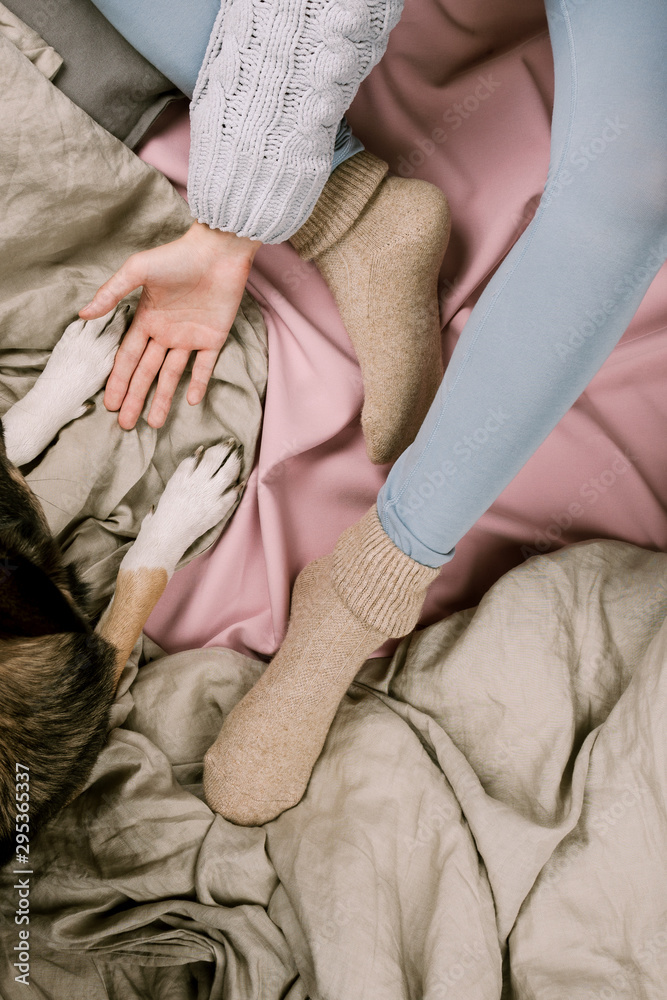 Fototapeta premium Cozy autumn or winter flatlay of woman petting her dog in bed